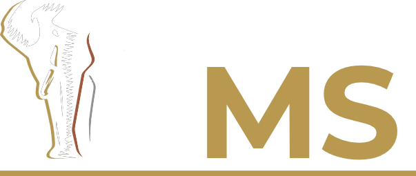 Tlou Mining Services